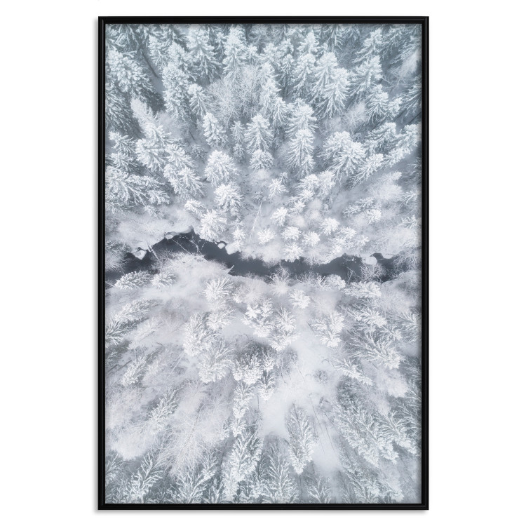 Poster Tree crowns - winter landscape of snow-covered trees seen from above 115134 additionalImage 18