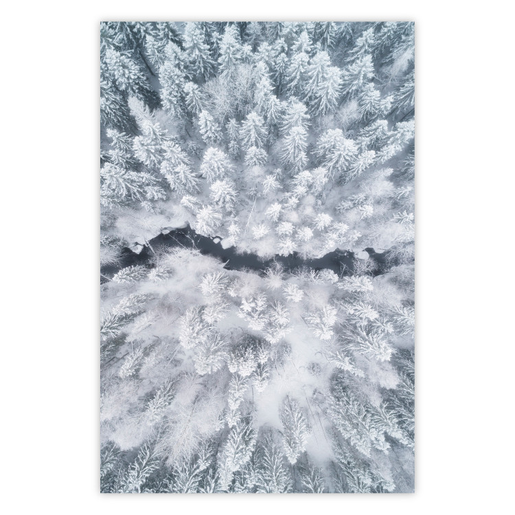 Poster Tree crowns - winter landscape of snow-covered trees seen from above 115134
