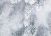 Poster Tree crowns - winter landscape of snow-covered trees seen from above 115134 additionalThumb 10