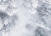Poster Tree crowns - winter landscape of snow-covered trees seen from above 115134 additionalThumb 9
