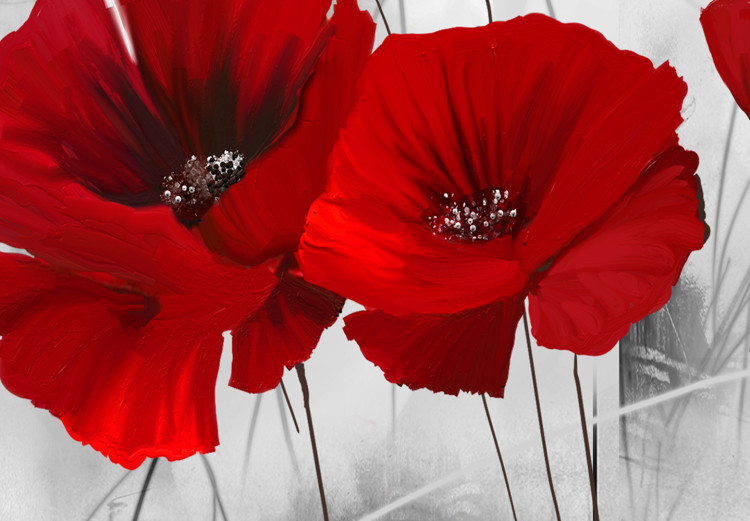 Canvas Print Red Poppies in Meadow (4-part) - Flowers on Gray Natural Background 118434 additionalImage 5