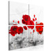 Canvas Print Red Poppies in Meadow (4-part) - Flowers on Gray Natural Background 118434 additionalThumb 2