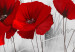 Canvas Print Red Poppies in Meadow (4-part) - Flowers on Gray Natural Background 118434 additionalThumb 4