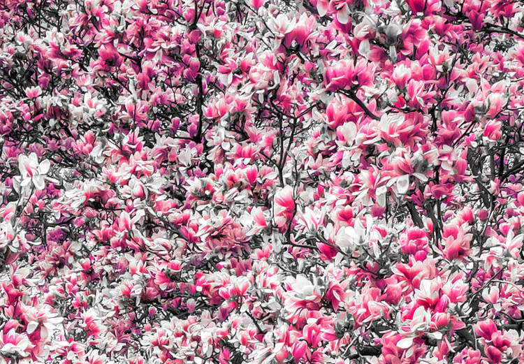 Large canvas print Magnolia Park - Pink [Large Format] 128634 additionalImage 4