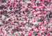 Large canvas print Magnolia Park - Pink [Large Format] 128634 additionalThumb 4