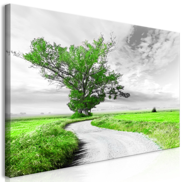 Large canvas print Tree near the Road - Green II [Large Format] 128734 additionalImage 2