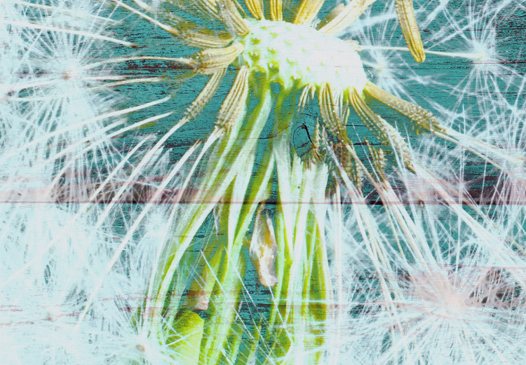 Canvas Print Windy Summer (1-part) wide - dandelion on a blue background 129534 additionalImage 4
