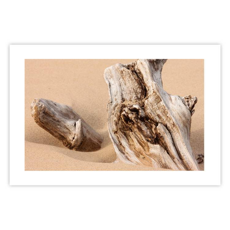 Poster Uncovered Past - beach landscape with a piece of brown wood 129834 additionalImage 25