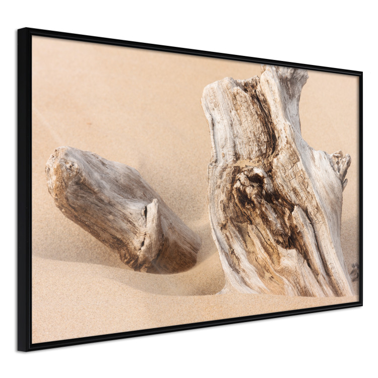 Poster Uncovered Past - beach landscape with a piece of brown wood 129834 additionalImage 11