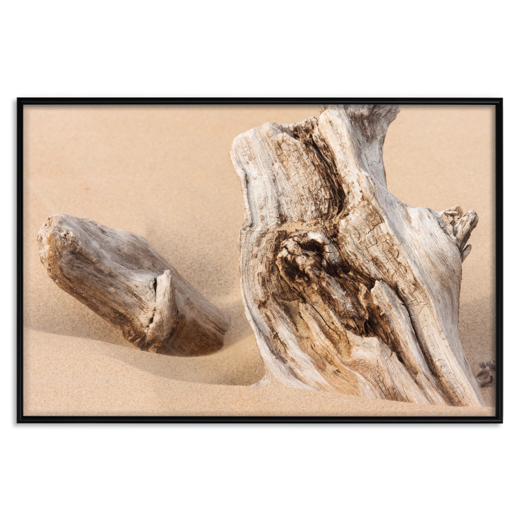Poster Uncovered Past - beach landscape with a piece of brown wood 129834 additionalImage 18