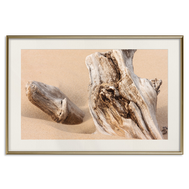Poster Uncovered Past - beach landscape with a piece of brown wood 129834 additionalImage 20