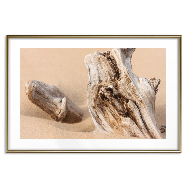 Poster Uncovered Past - beach landscape with a piece of brown wood 129834 additionalImage 14