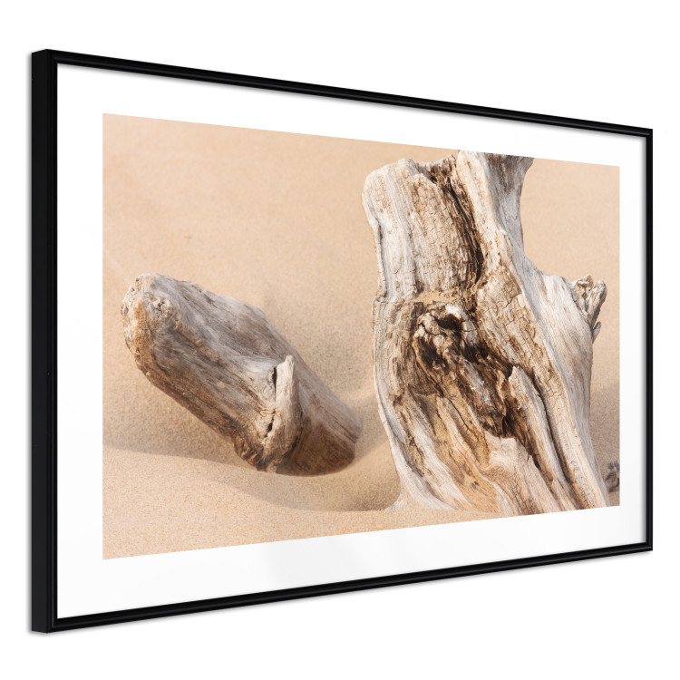 Poster Uncovered Past - beach landscape with a piece of brown wood 129834 additionalImage 8