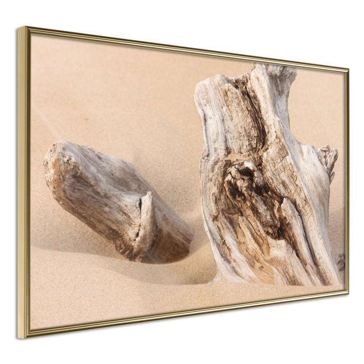 Poster Uncovered Past - beach landscape with a piece of brown wood 129834 additionalImage 12