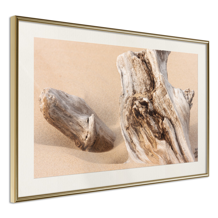 Poster Uncovered Past - beach landscape with a piece of brown wood 129834 additionalImage 3