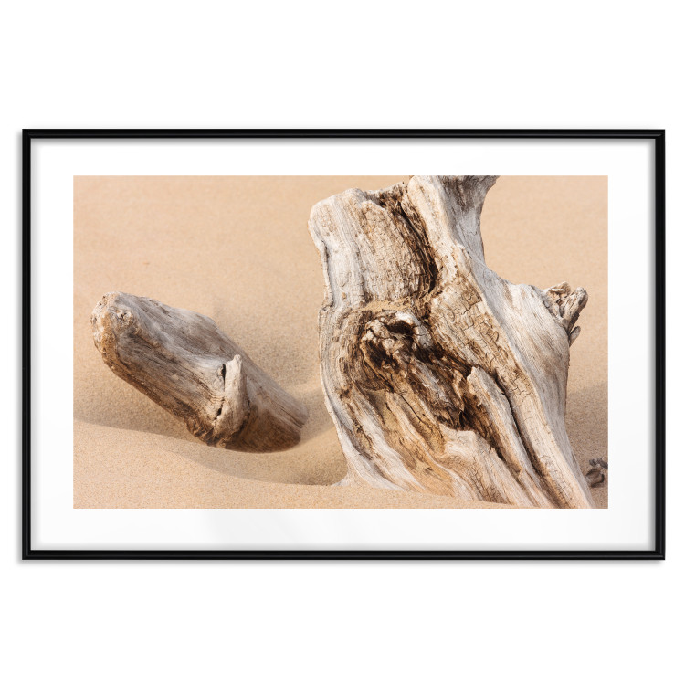 Poster Uncovered Past - beach landscape with a piece of brown wood 129834 additionalImage 15