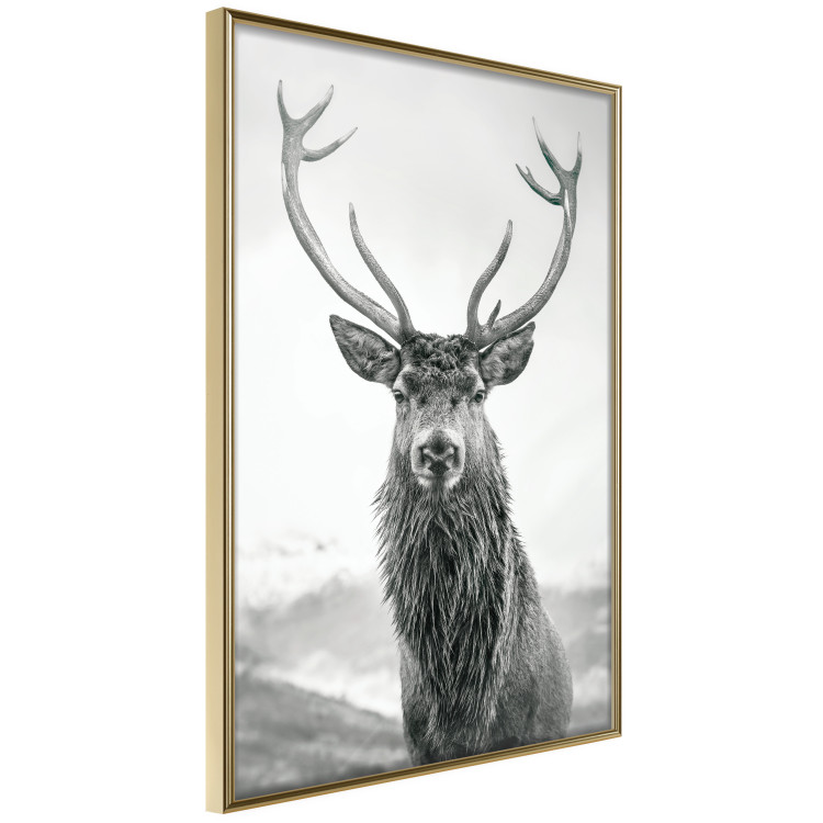 Wall gallery Mighty deer 132343 additionalImage 4