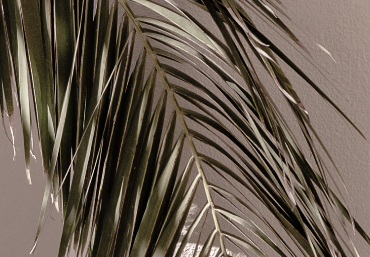Canvas Terrace with a View (1-piece) Vertical - palm tree leaf in Morocco 134734 additionalImage 5