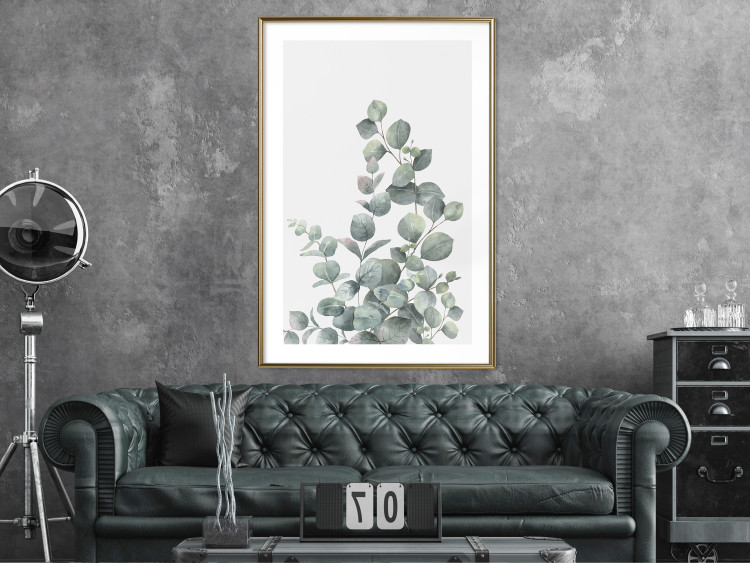 Wall Poster Eucalyptus Branches - composition with leaves of green plant and light background 137234 additionalImage 4