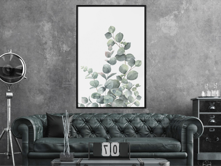 Wall Poster Eucalyptus Branches - composition with leaves of green plant and light background 137234 additionalImage 10
