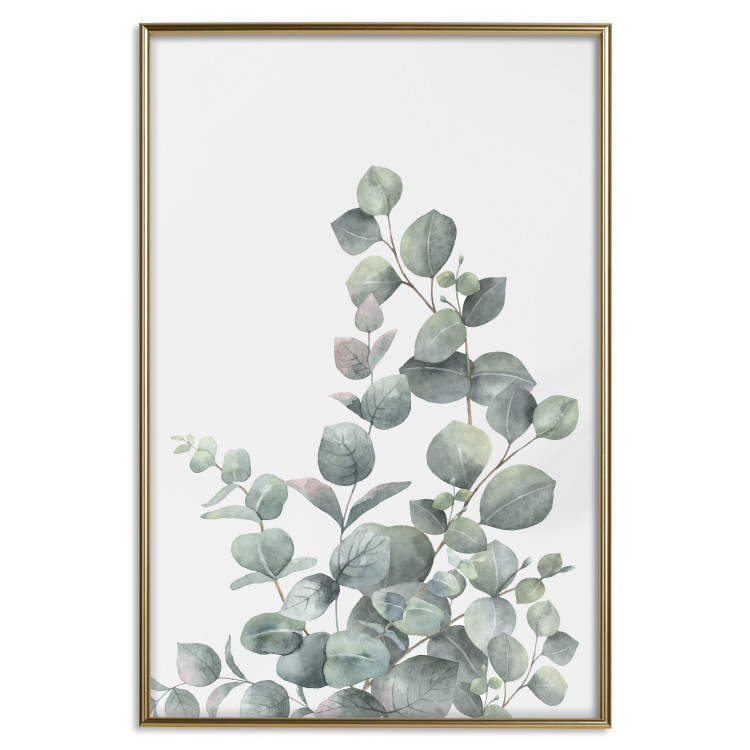 Wall Poster Eucalyptus Branches - composition with leaves of green plant and light background 137234 additionalImage 19