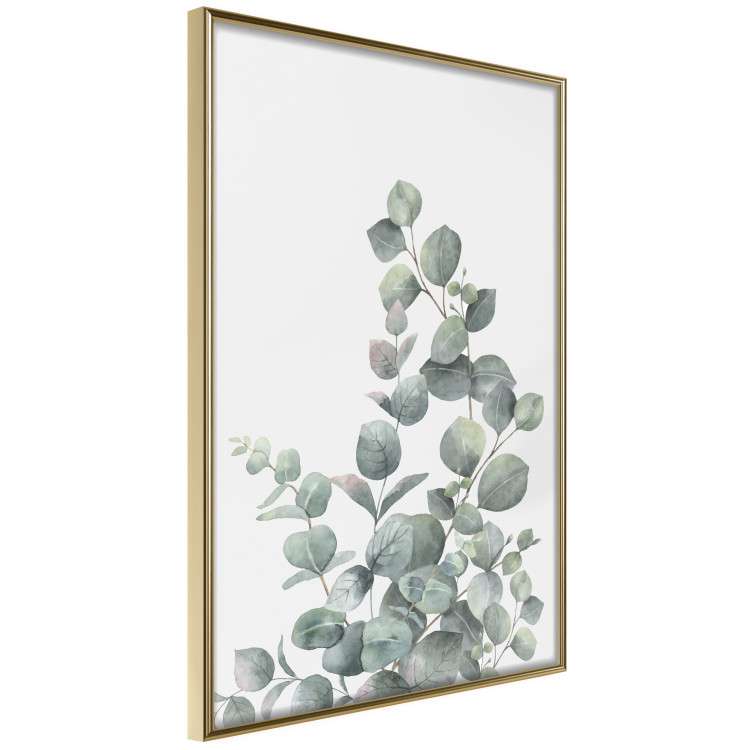 Wall Poster Eucalyptus Branches - composition with leaves of green plant and light background 137234 additionalImage 17