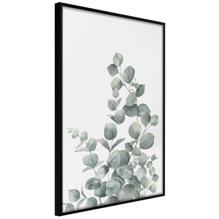Wall Poster Eucalyptus Branches - composition with leaves of green plant and light background 137234 additionalImage 13
