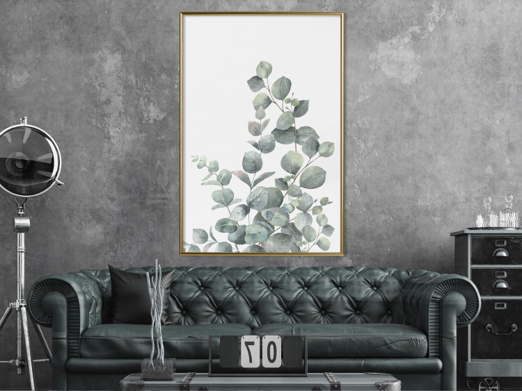 Wall Poster Eucalyptus Branches - composition with leaves of green plant and light background 137234 additionalImage 9