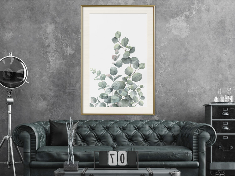 Wall Poster Eucalyptus Branches - composition with leaves of green plant and light background 137234 additionalImage 5