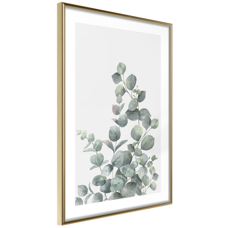Wall Poster Eucalyptus Branches - composition with leaves of green plant and light background 137234 additionalImage 14