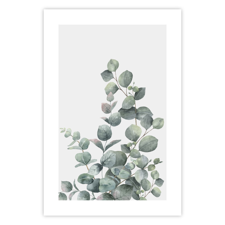 Wall Poster Eucalyptus Branches - composition with leaves of green plant and light background 137234 additionalImage 2