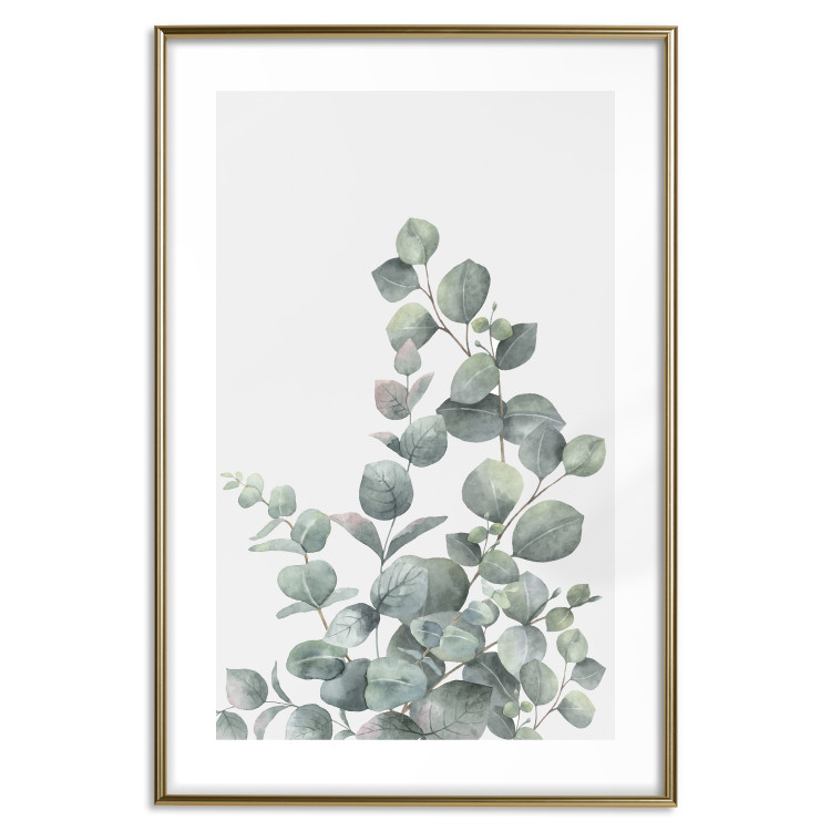 Wall Poster Eucalyptus Branches - composition with leaves of green plant and light background 137234 additionalImage 24