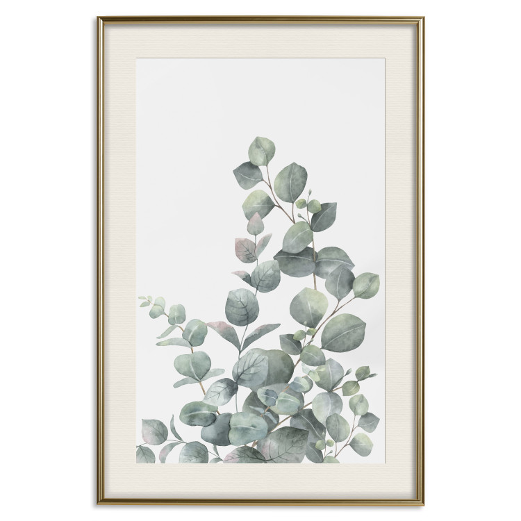 Wall Poster Eucalyptus Branches - composition with leaves of green plant and light background 137234 additionalImage 22