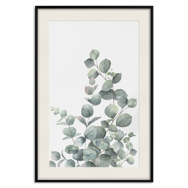 Wall Poster Eucalyptus Branches - composition with leaves of green plant and light background 137234 additionalImage 25