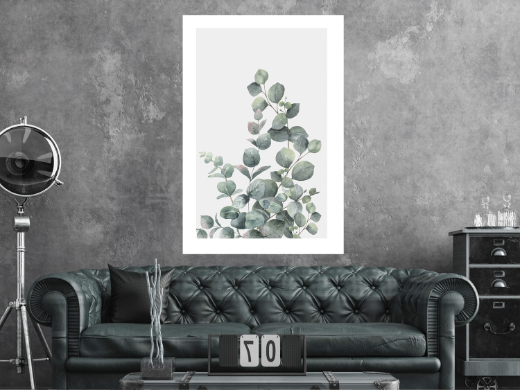 Wall Poster Eucalyptus Branches - composition with leaves of green plant and light background 137234 additionalImage 11