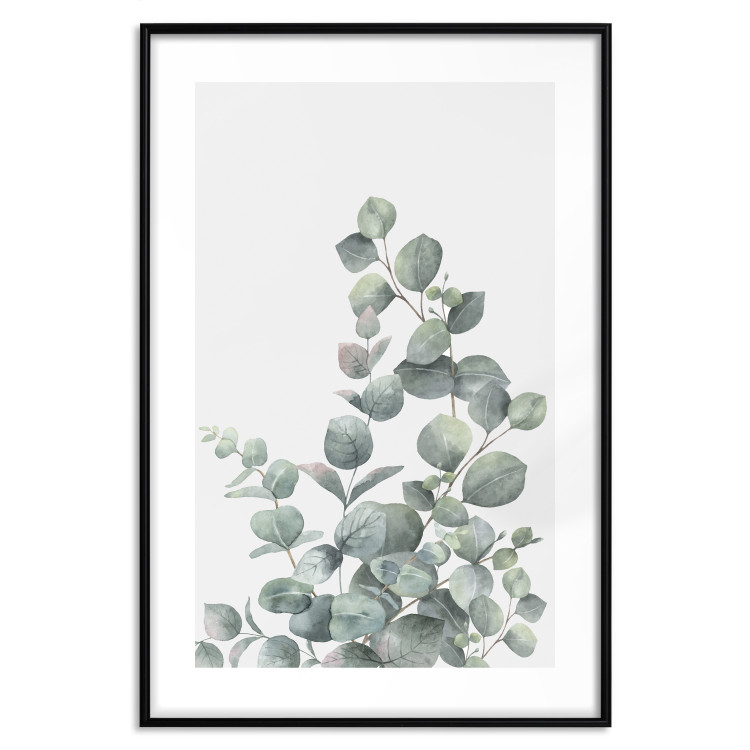 Wall Poster Eucalyptus Branches - composition with leaves of green plant and light background 137234 additionalImage 23