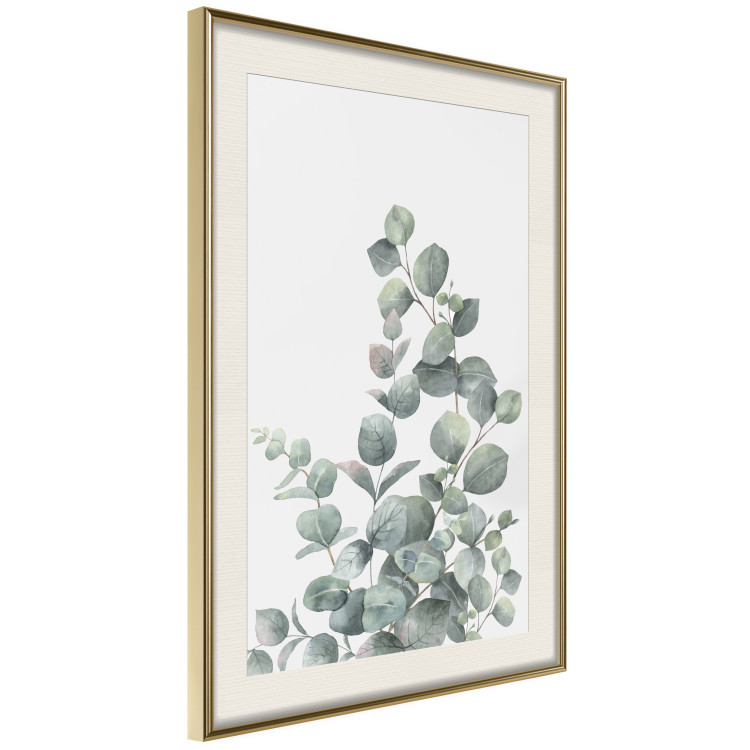 Wall Poster Eucalyptus Branches - composition with leaves of green plant and light background 137234 additionalImage 12