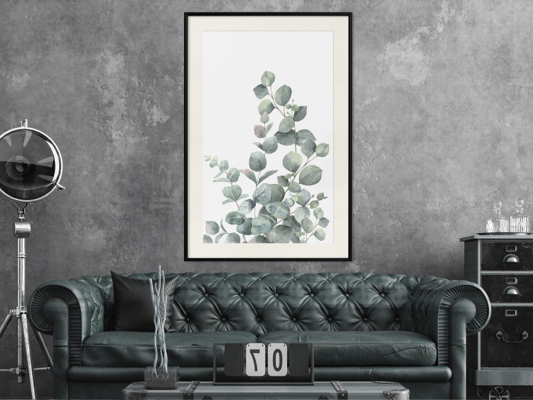 Wall Poster Eucalyptus Branches - composition with leaves of green plant and light background 137234 additionalImage 6