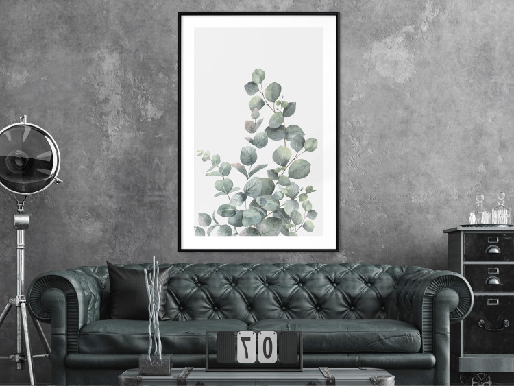 Wall Poster Eucalyptus Branches - composition with leaves of green plant and light background 137234 additionalImage 8
