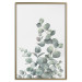 Wall Poster Eucalyptus Branches - composition with leaves of green plant and light background 137234 additionalThumb 26