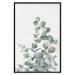Wall Poster Eucalyptus Branches - composition with leaves of green plant and light background 137234 additionalThumb 20