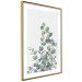 Wall Poster Eucalyptus Branches - composition with leaves of green plant and light background 137234 additionalThumb 10