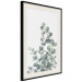 Wall Poster Eucalyptus Branches - composition with leaves of green plant and light background 137234 additionalThumb 15