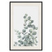 Wall Poster Eucalyptus Branches - composition with leaves of green plant and light background 137234 additionalThumb 25