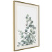 Wall Poster Eucalyptus Branches - composition with leaves of green plant and light background 137234 additionalThumb 12