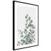 Wall Poster Eucalyptus Branches - composition with leaves of green plant and light background 137234 additionalThumb 11