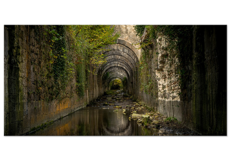 Canvas Art Print Tunnel in Orbaitzeta (1-piece) Wide - landscape with a floral motif 143234