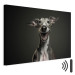 Canvas Art Print AI Greyhound Dog - Portrait of a Wide Smiling Animal - Horizontal 150234 additionalThumb 8