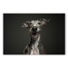 Canvas Art Print AI Greyhound Dog - Portrait of a Wide Smiling Animal - Horizontal 150234