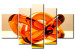 Canvas Print Glass Trap -orange 56434